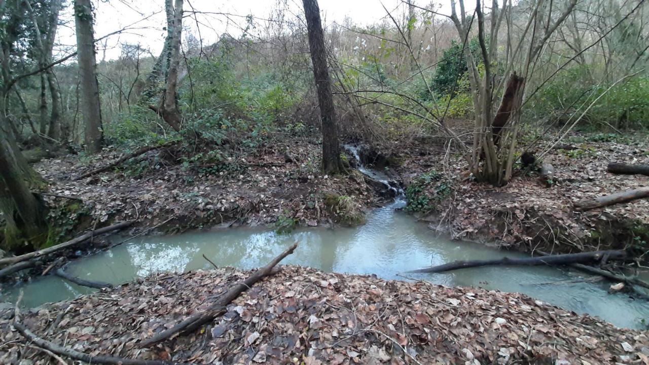 Bio Agriturismo Valle Dei Calanchi Castiglione In Teverina Zewnętrze zdjęcie