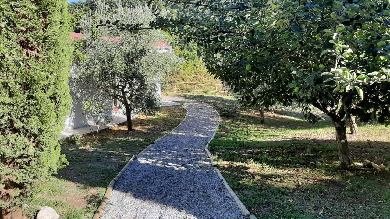 Bio Agriturismo Valle Dei Calanchi Castiglione In Teverina Zewnętrze zdjęcie