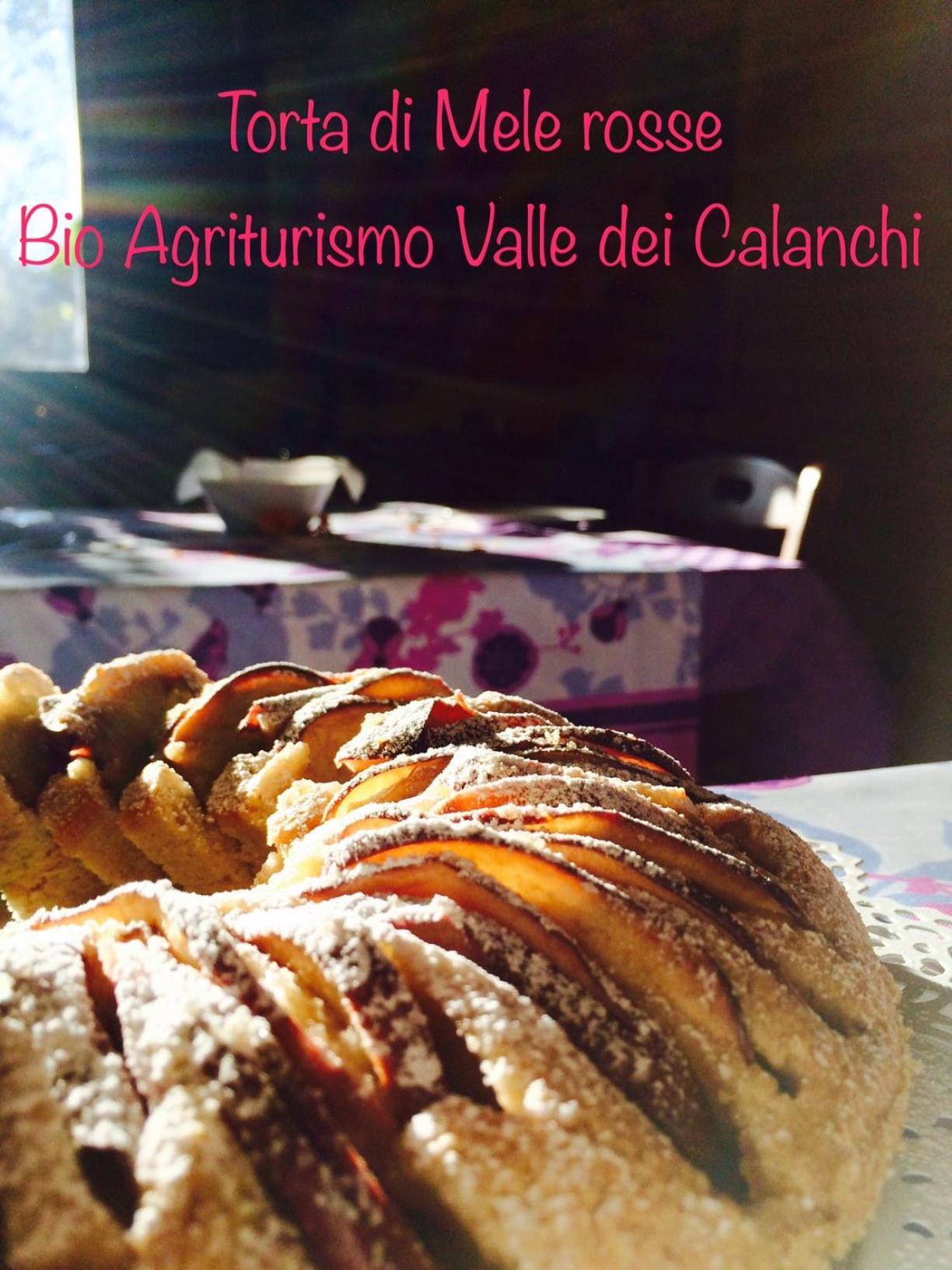 Bio Agriturismo Valle Dei Calanchi Castiglione In Teverina Zewnętrze zdjęcie